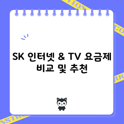 SK 인터넷 & TV 요금제 비교 및 추천