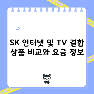 SK 인터넷 및 TV 결합 상품 비교와 요금 정보