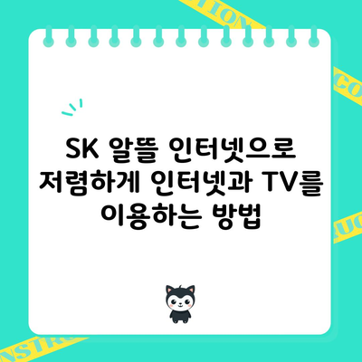 SK 알뜰 인터넷으로 저렴하게 인터넷과 TV를 이용하는 방법