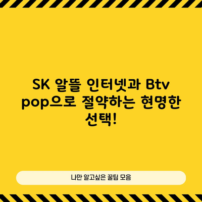 SK 알뜰 인터넷과 Btv pop으로 절약하는 현명한 선택!