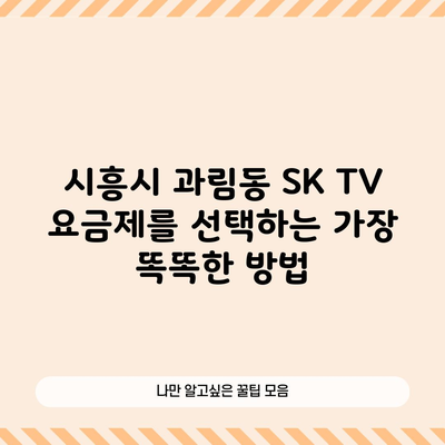 시흥시 과림동 SK TV 요금제를 선택하는 가장 똑똑한 방법