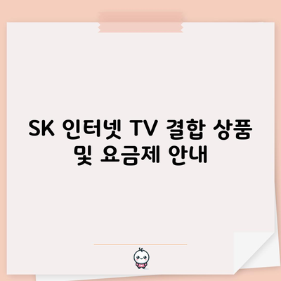 SK 인터넷 TV 결합 상품 및 요금제 안내