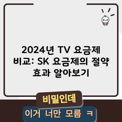 2024년 TV 요금제 비교: SK 요금제의 절약 효과 알아보기