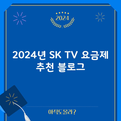 2024년 SK TV 요금제 추천 블로그