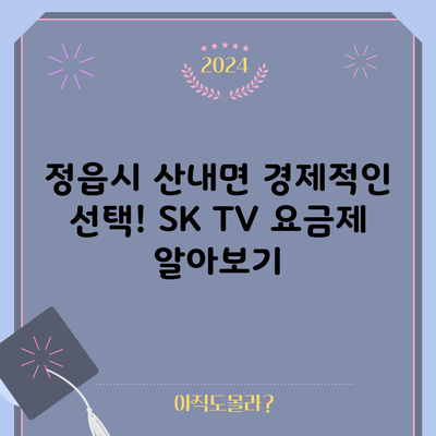 정읍시 산내면 경제적인 선택! SK TV 요금제 알아보기