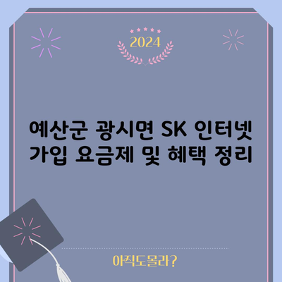 예산군 광시면 SK 인터넷 가입 요금제 및 혜택 정리