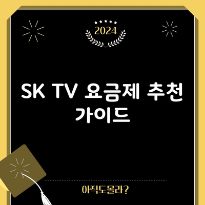 SK TV 요금제 추천 가이드