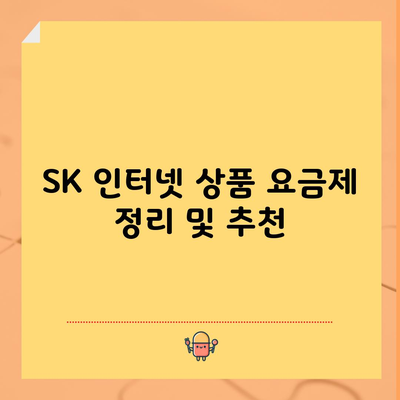 SK 인터넷 상품 요금제 정리 및 추천