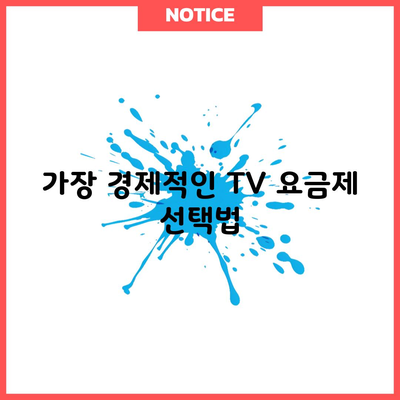 가장 경제적인 TV 요금제 선택법