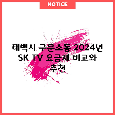 태백시 구문소동 2024년 SK TV 요금제 비교와 추천