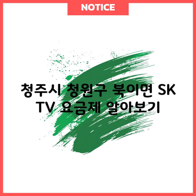 청주시 청원구 북이면 SK TV 요금제 알아보기