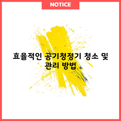 효율적인 공기청정기 청소 및 관리 방법