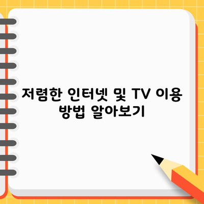 저렴한 인터넷 및 TV 이용 방법 알아보기