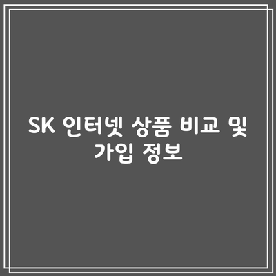 SK 인터넷 상품 비교 및 가입 정보