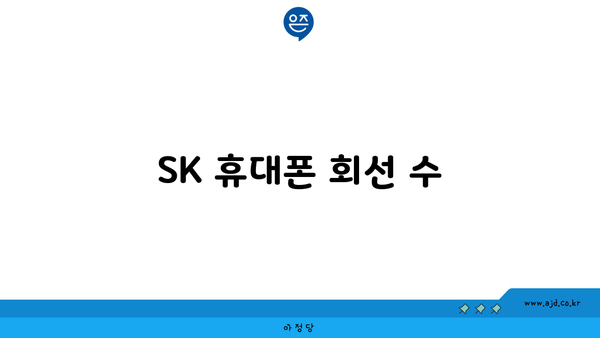 SK 휴대폰 회선 수