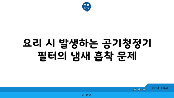 요리 시 발생하는 공기청정기 필터의 냄새 흡착 문제