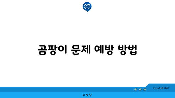 곰팡이 문제 예방 방법