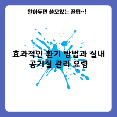 효과적인 환기 방법과 실내 공기질 관리 요령