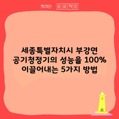 세종특별자치시 부강면 공기청정기의 성능을 100% 이끌어내는 5가지 방법