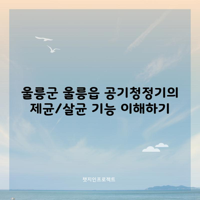 울릉군 울릉읍 공기청정기의 제균/살균 기능 이해하기