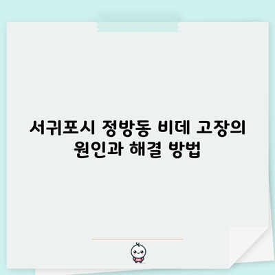 서귀포시 정방동 비데 고장의 원인과 해결 방법