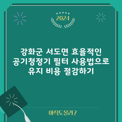 강화군 서도면 효율적인 공기청정기 필터 사용법으로 유지 비용 절감하기