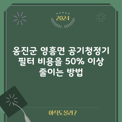 옹진군 영흥면 공기청정기 필터 비용을 50% 이상 줄이는 방법