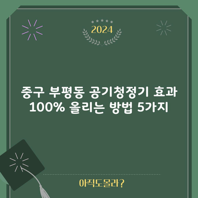 중구 부평동 공기청정기 효과 100% 올리는 방법 5가지