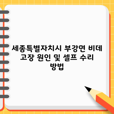 세종특별자치시 부강면 비데 고장 원인 및 셀프 수리 방법