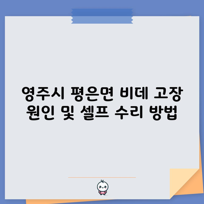 영주시 평은면 비데 고장 원인 및 셀프 수리 방법