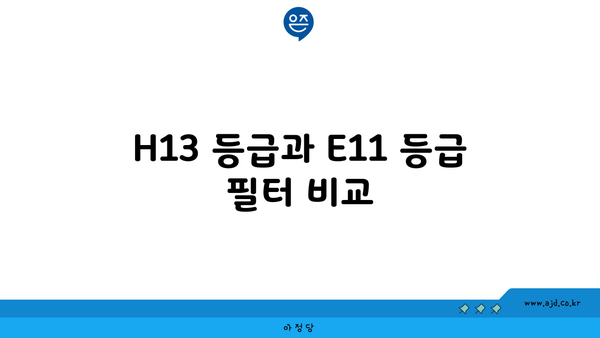 H13 등급과 E11 등급 필터 비교