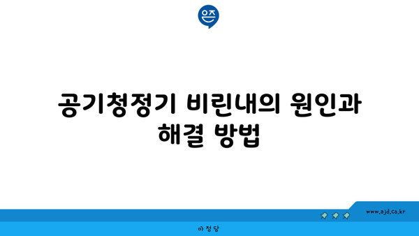 공기청정기 비린내의 원인과 해결 방법