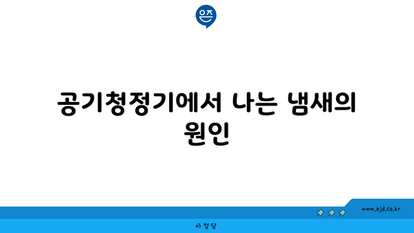 공기청정기에서 나는 냄새의 원인