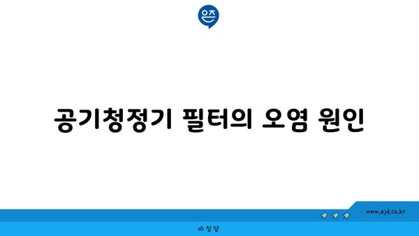 공기청정기 필터의 오염 원인