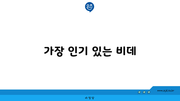 가장 인기 있는 비데