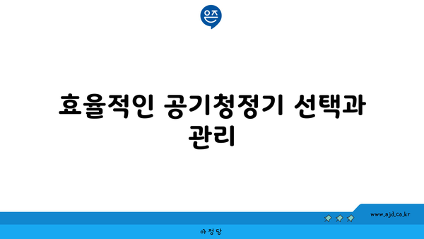 효율적인 공기청정기 선택과 관리