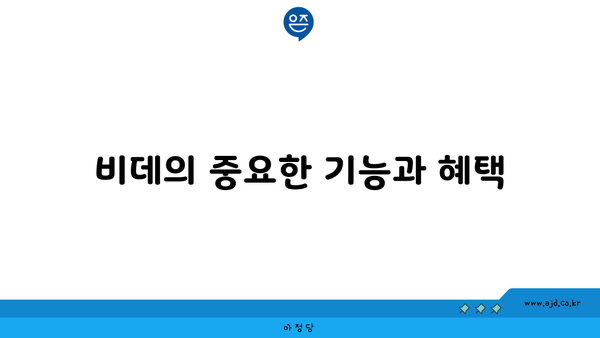 비데의 중요한 기능과 혜택