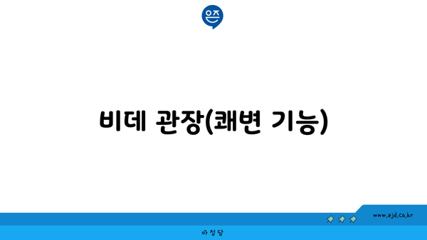 비데 관장(쾌변 기능)