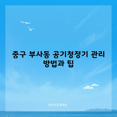 중구 부사동 공기청정기 관리 방법과 팁