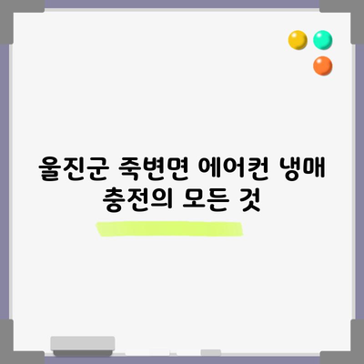 울진군 죽변면 에어컨 냉매 충전의 모든 것