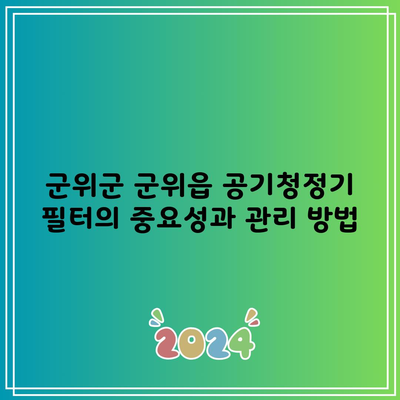 군위군 군위읍 공기청정기 필터의 중요성과 관리 방법