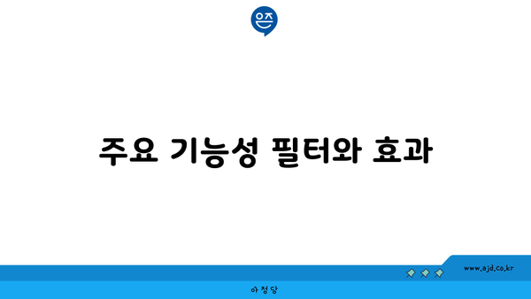 주요 기능성 필터와 효과