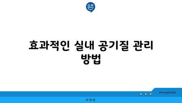 효과적인 실내 공기질 관리 방법